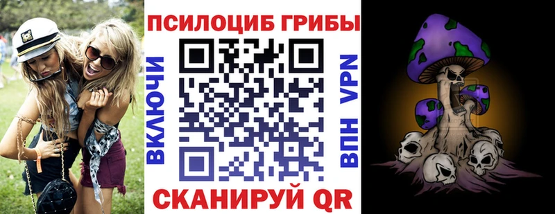 Псилоцибиновые грибы Cubensis  Купить закладки  Пушкино 